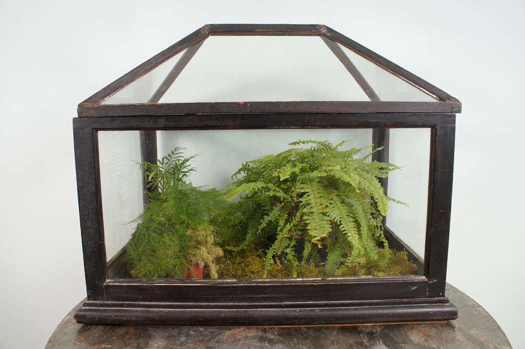 Also known as a Wardian case. Mahogany and glass terrarium of rectangular outline with pitched roof. Molded base and zinc liner tray.