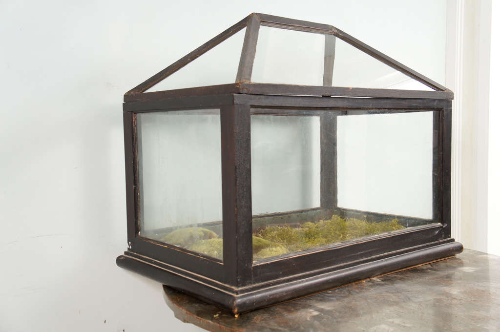 Victorian Mahogany and Glass Terrarium In Excellent Condition For Sale In Hudson, NY