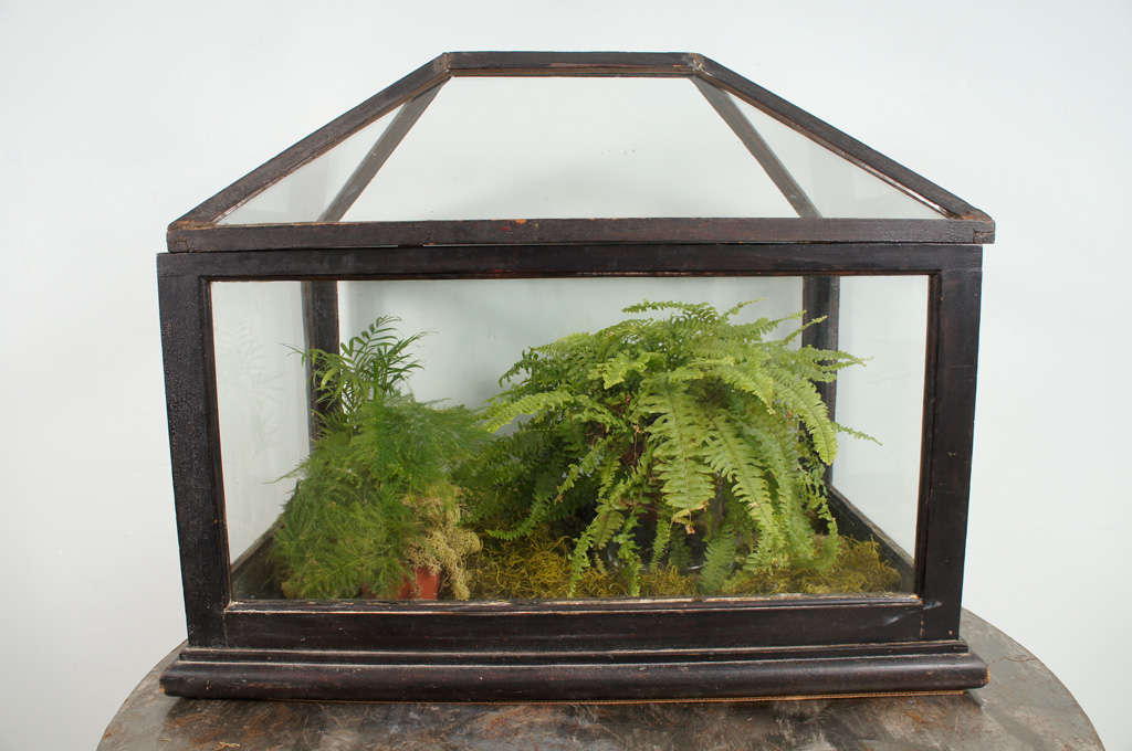 Victorian Mahogany and Glass Terrarium For Sale at 1stDibs victorian