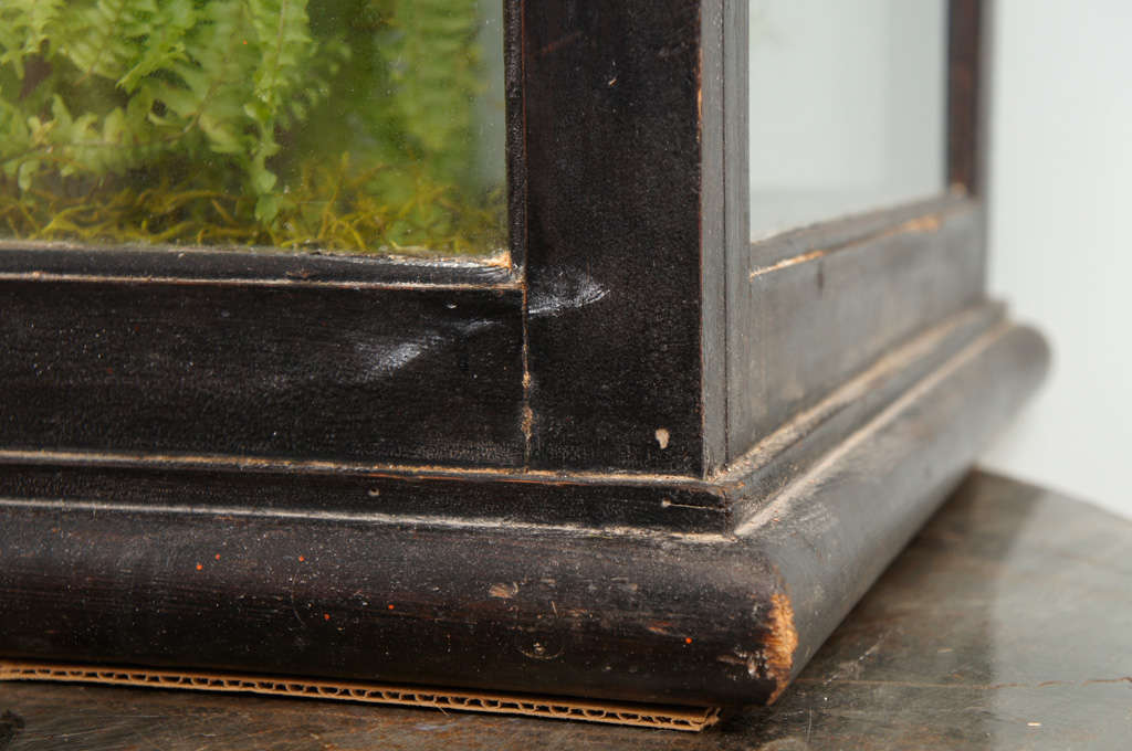 Victorian Mahogany and Glass Terrarium For Sale at 1stDibs victorian