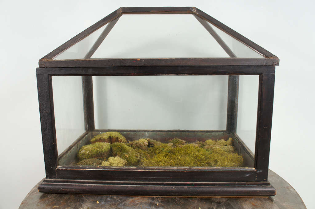 Victorian Mahogany and Glass Terrarium For Sale at 1stDibs victorian