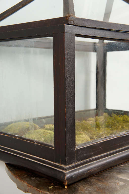 Victorian Mahogany and Glass Terrarium For Sale at 1stDibs victorian