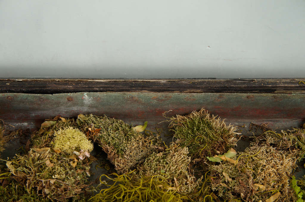 Victorian Mahogany and Glass Terrarium For Sale at 1stDibs victorian