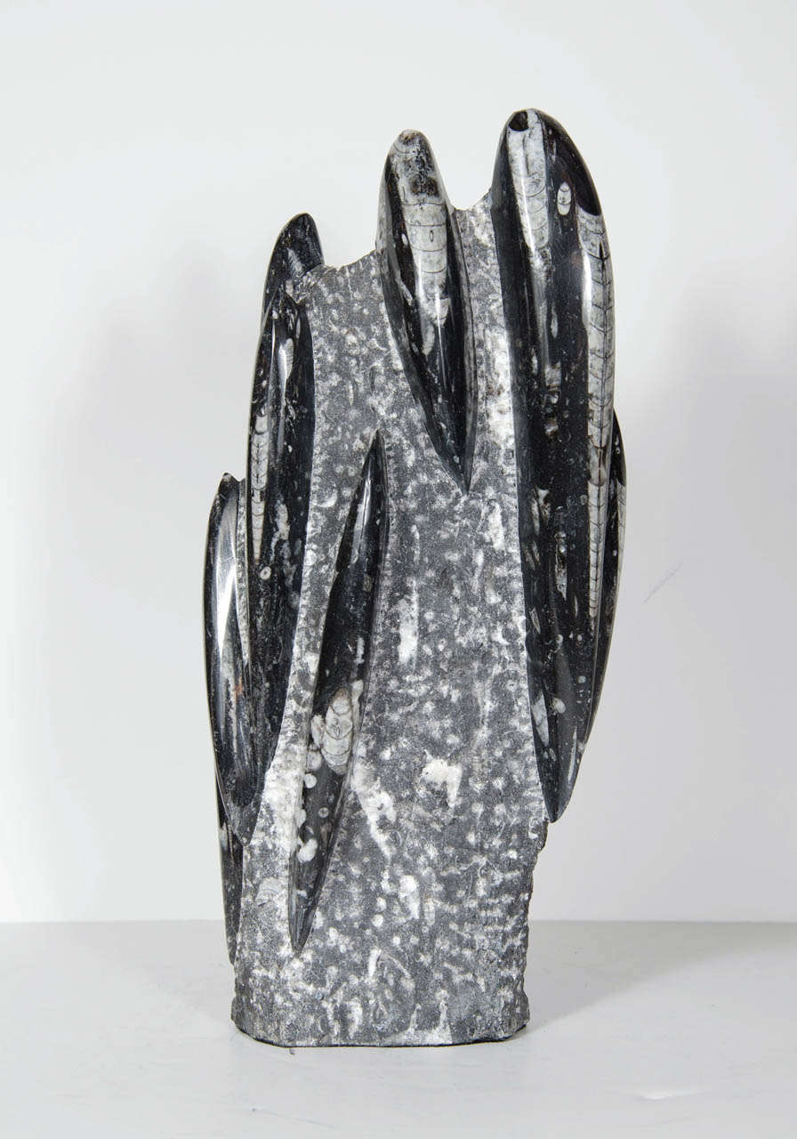 A rare & exquisite fossil of the ancient Orthoceras fish, the earliest recognizable animal.  With the alluring cylindrical shapes and its hues of black and grey from the quartz crystal specimen, this fossil makes for a beautiful addition to any