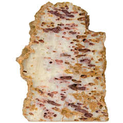 Organic Sliced Geode Mineral Specimen in Copper, Umber and Browns Organic Sliced Geode Mineral Specimen in Copper, Umber and Browns