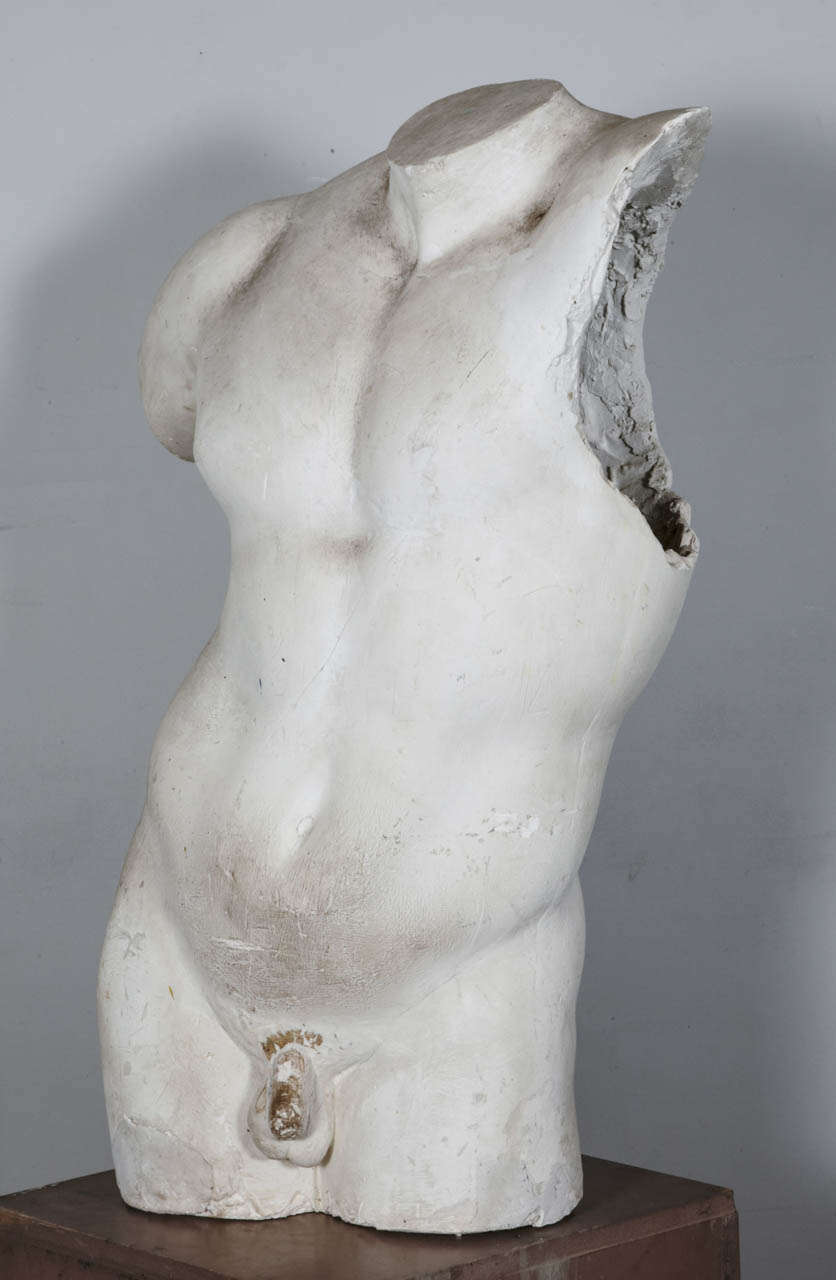 Italian original 1950 torso plaster model.
Gladiatore Borghese.