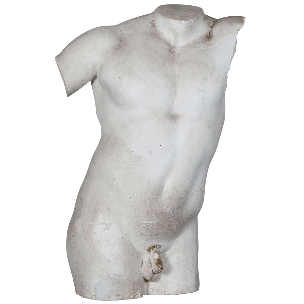 Italian Plaster Male Torso Gladiator Borghese For Sale