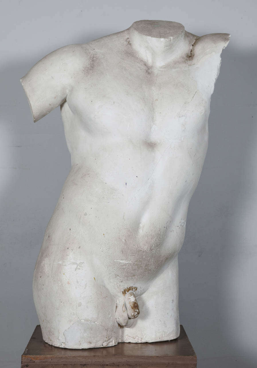 Italian Plaster Male Torso Gladiator Borghese In Good Condition For Sale In Paris, FR