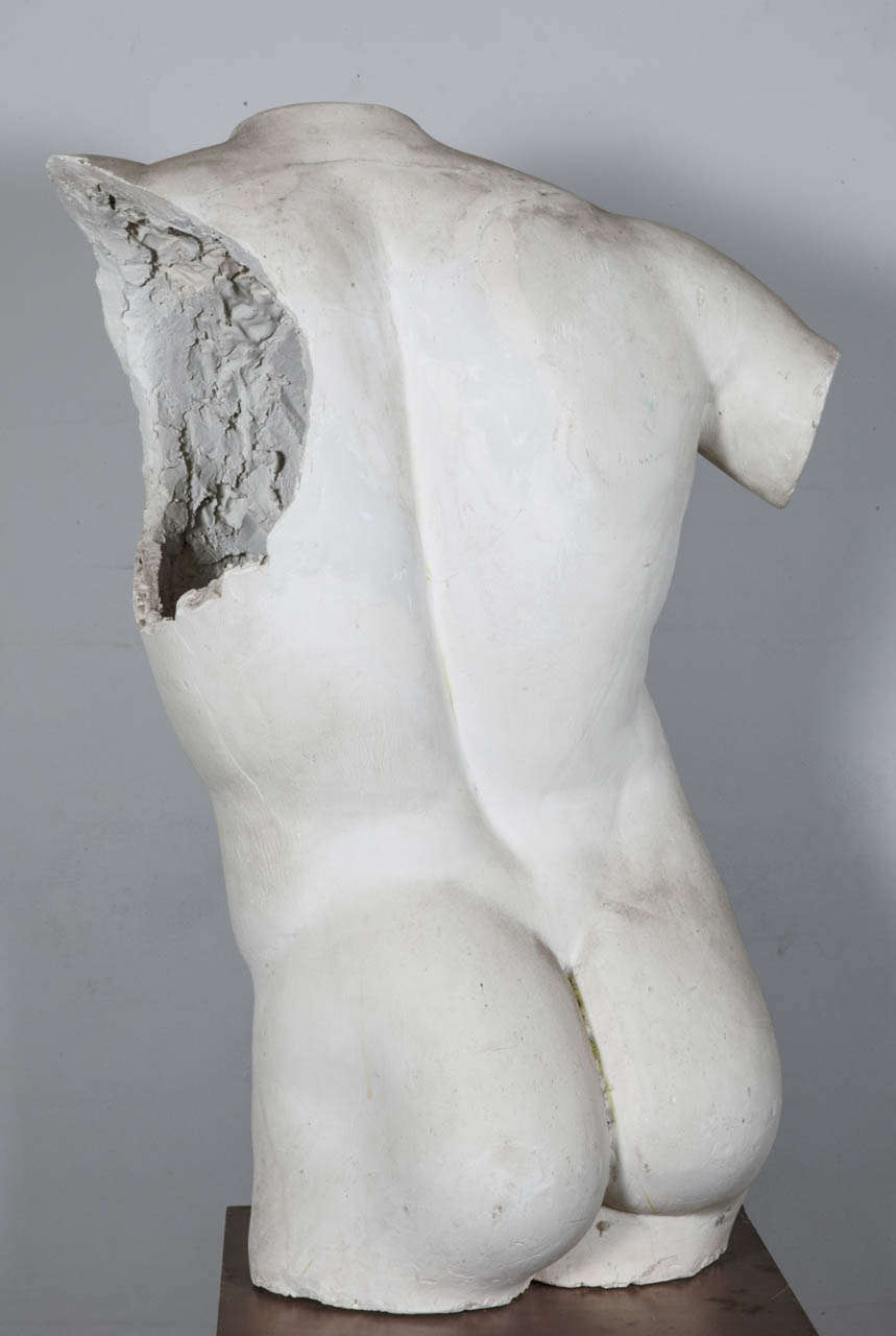 Italian Plaster Male Torso Gladiator Borghese For Sale 3