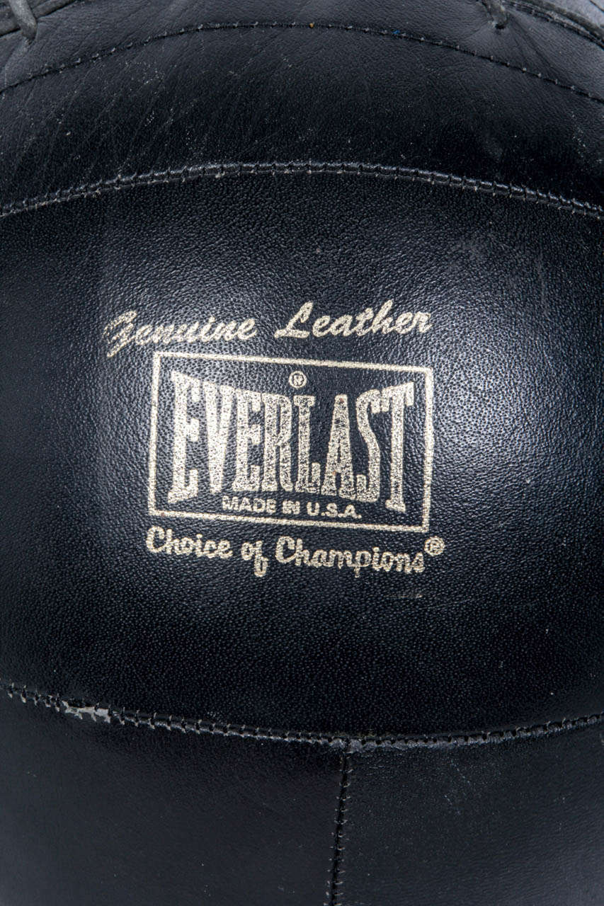 everlast medicine ball leather