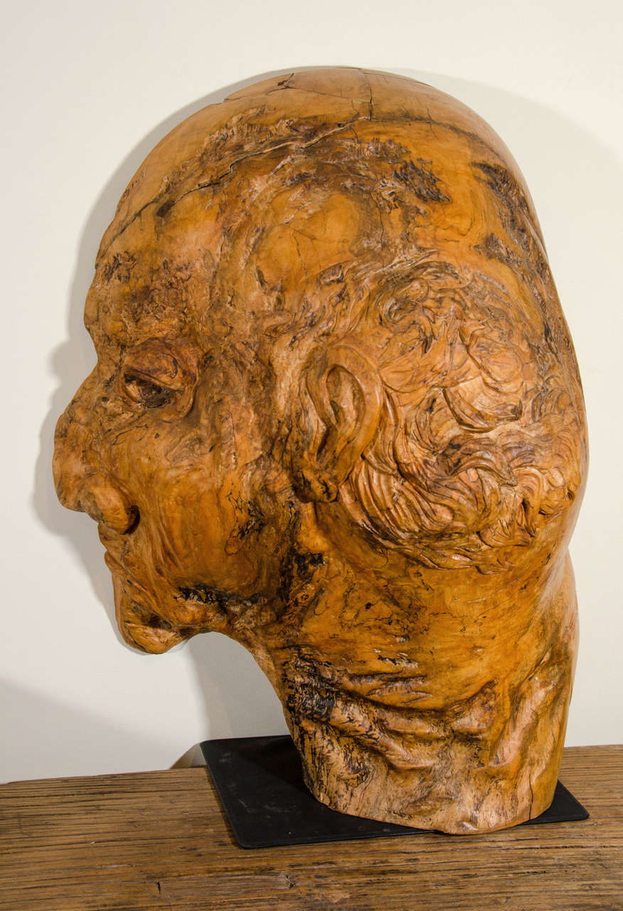 A larger than life folk art profile of an old man. Carved from a huge burled knot of maple wood. This piece has great presence.  
U.S.A., c. 1960
L: 21  D: 13  H:30
M1001