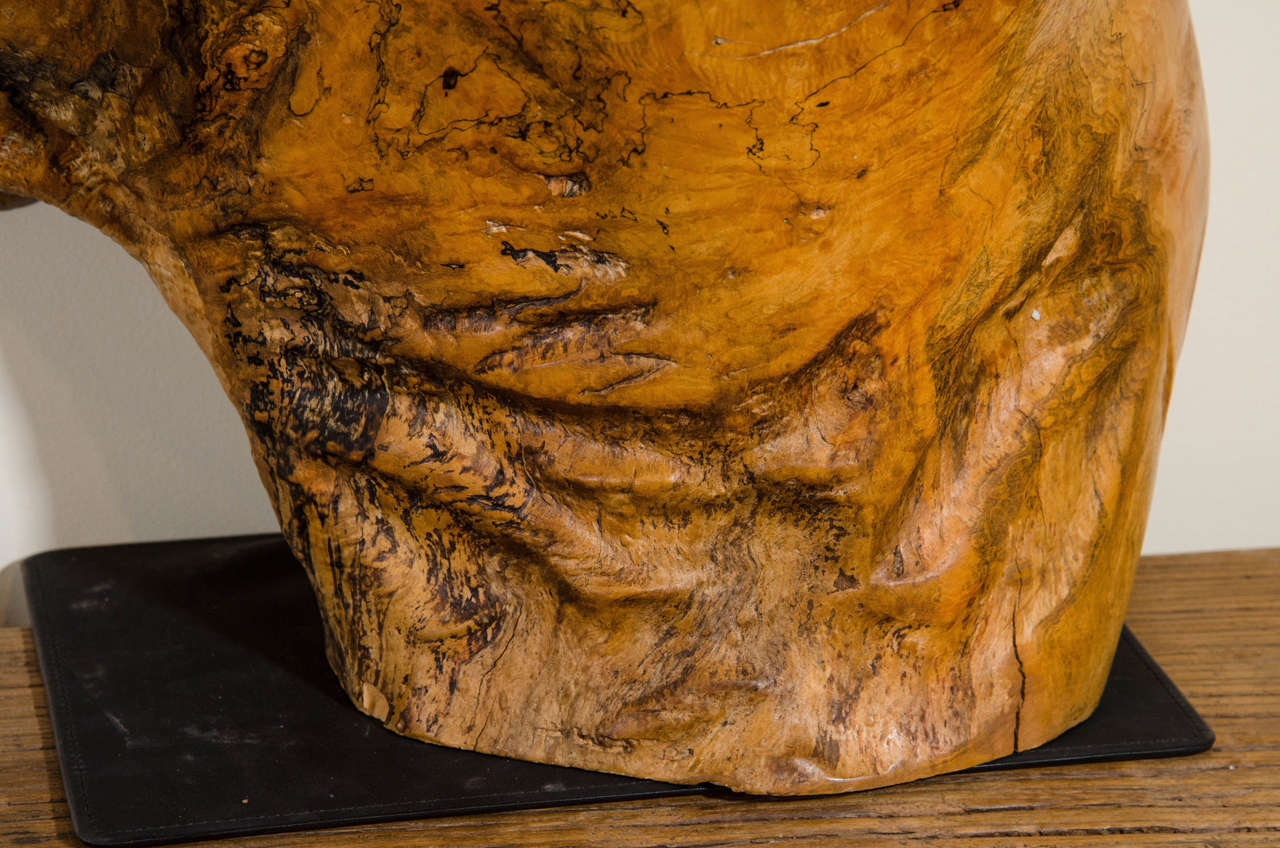 American Massive Burl Wood Carved Profile For Sale