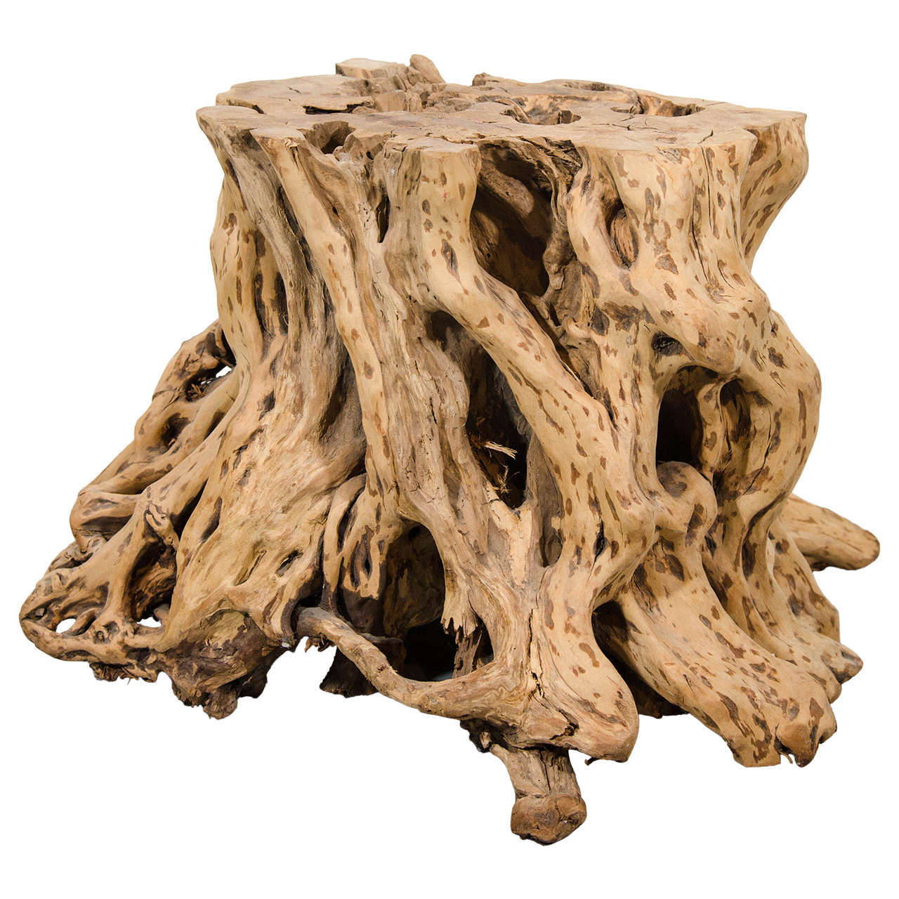 Root Wood Side Table