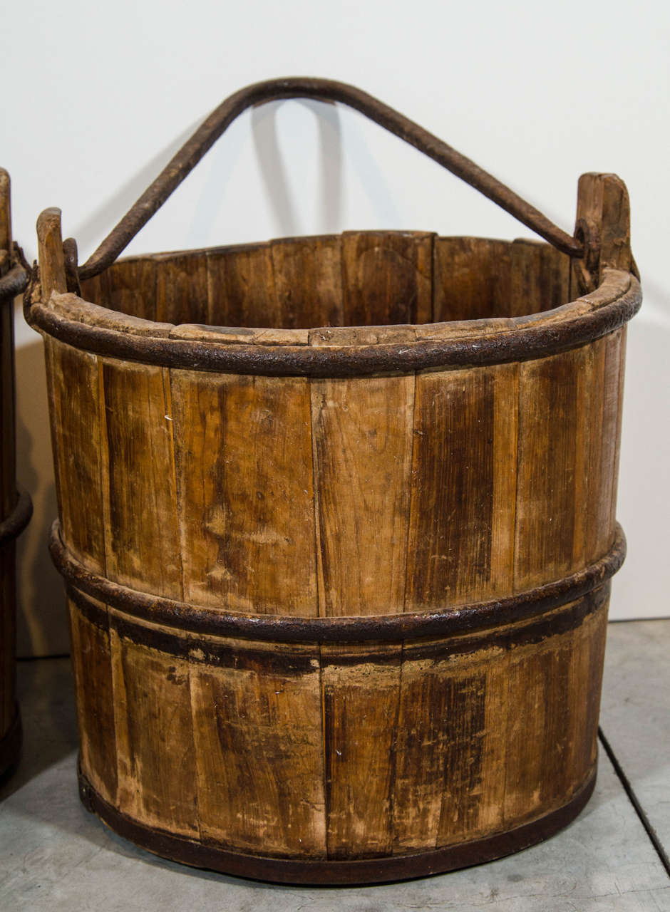 medieval dynasty bucket