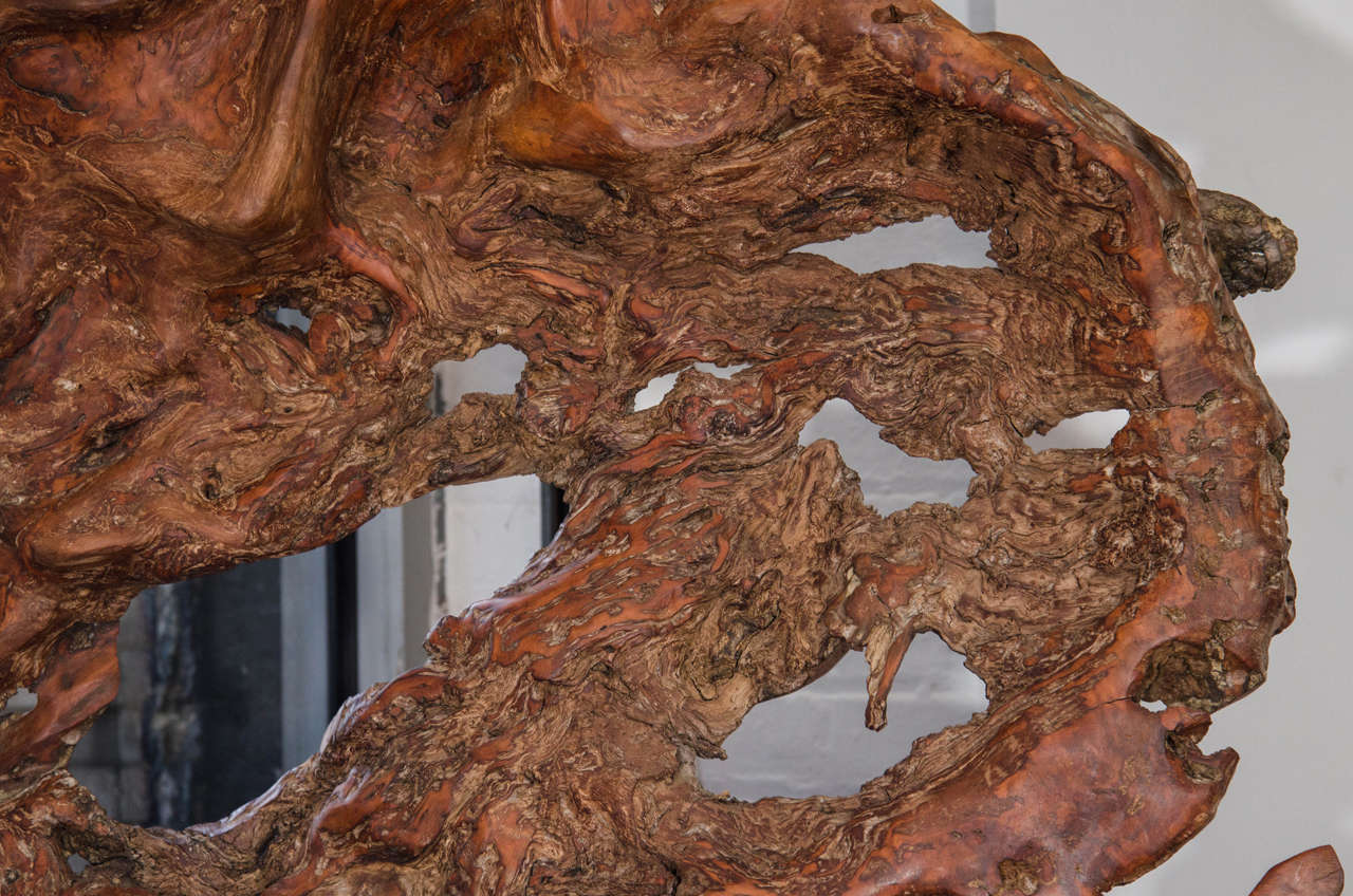 Organic Modern Andrianna Shamaris Massive Lychee Wood Sculpture