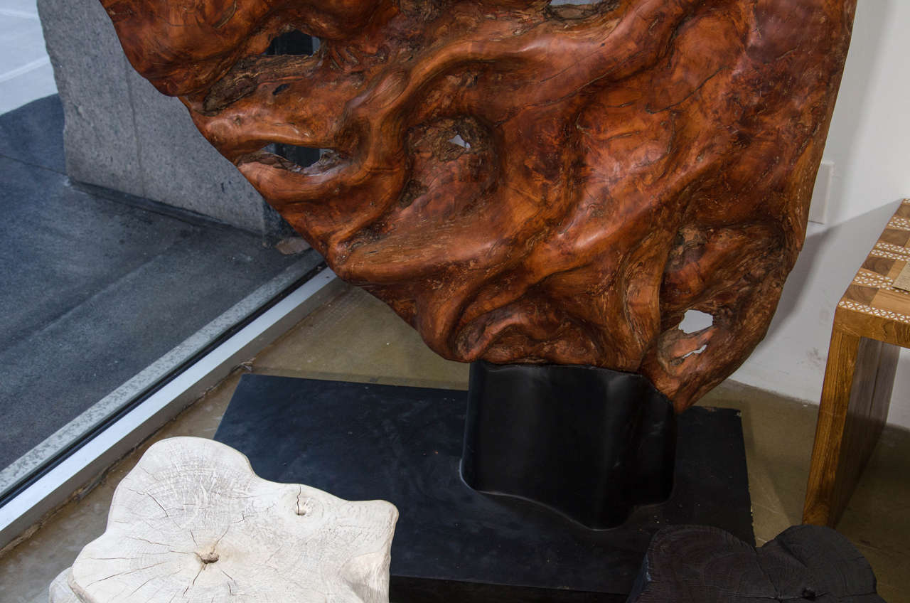 Polished Andrianna Shamaris Massive Lychee Wood Sculpture
