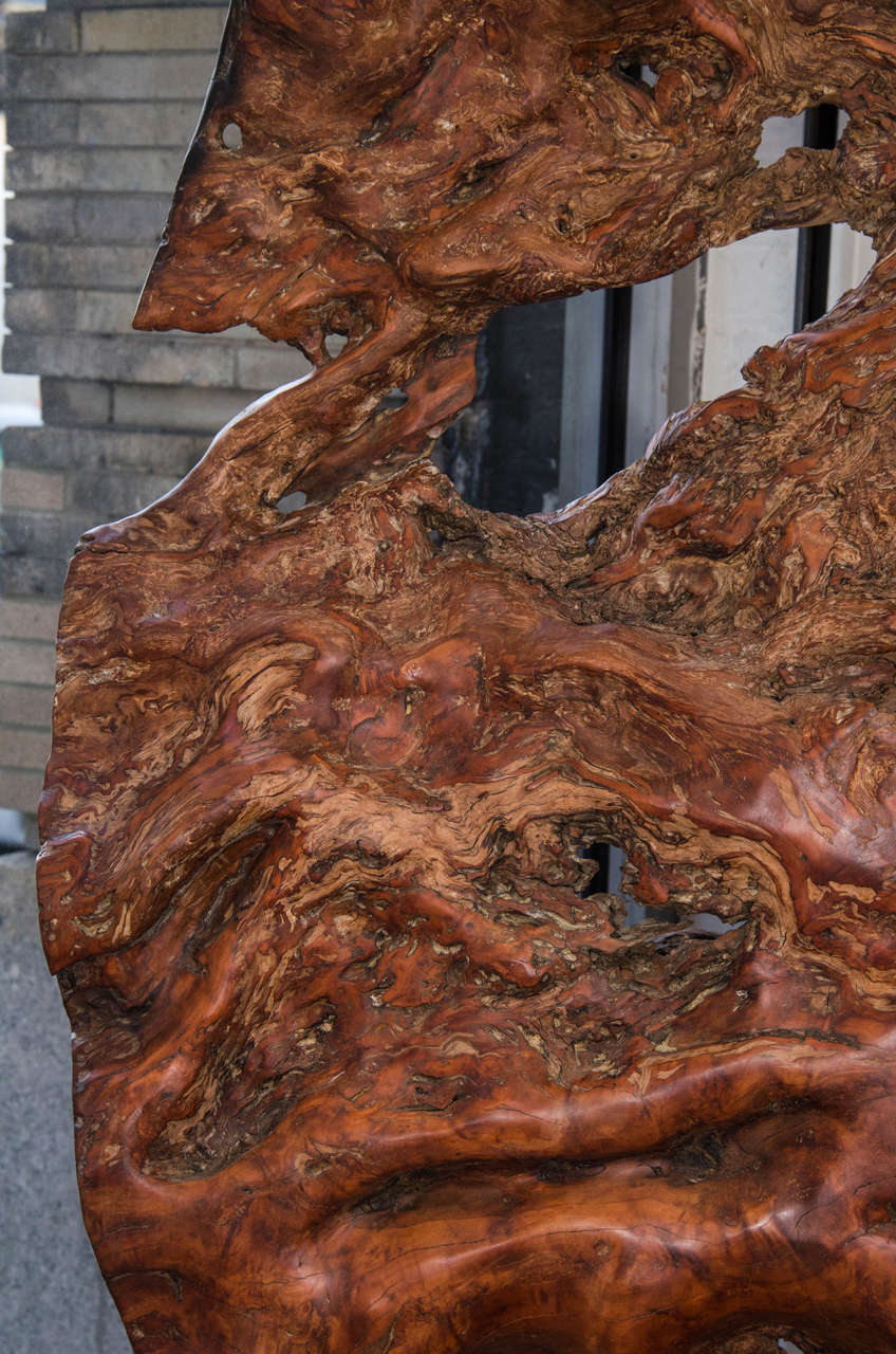Andrianna Shamaris Massive Lychee Wood Sculpture In Excellent Condition In New York, NY