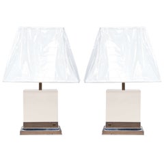 Pair of Resin and Bronze Lamps