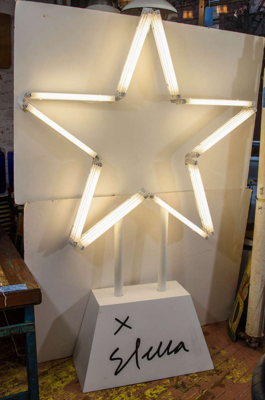 Ornamental star with florescent lights. Designed by Stella McCartney for a children's Christmas benefit in London.  

Metal base and frame.
