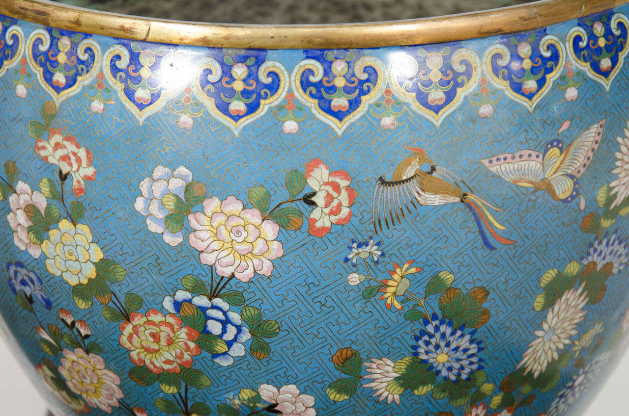 Chinese A Large 19th Century Daoguang Period Cloisonne Bowl or Planter