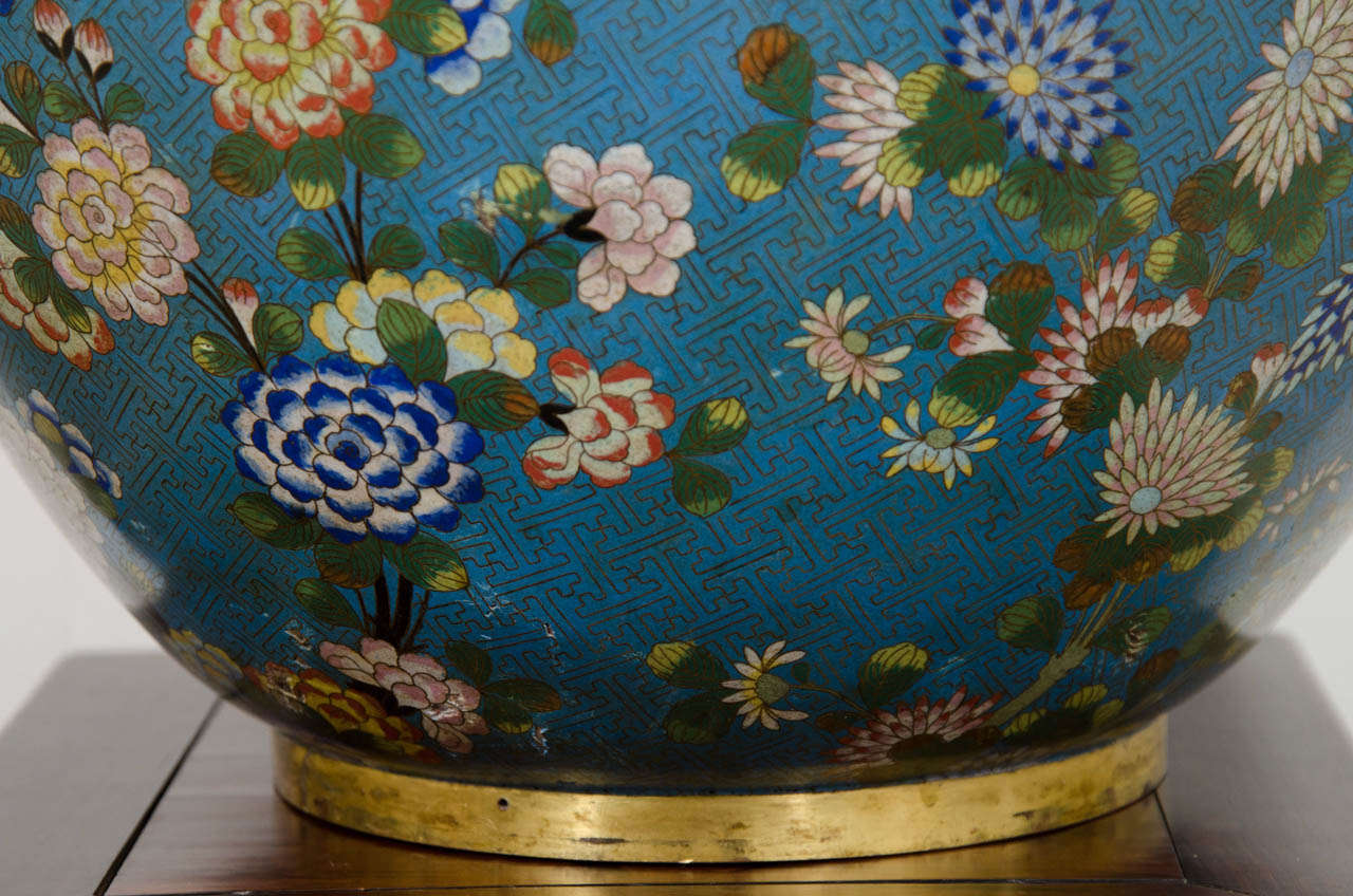 Enamel A Large 19th Century Daoguang Period Cloisonne Bowl or Planter