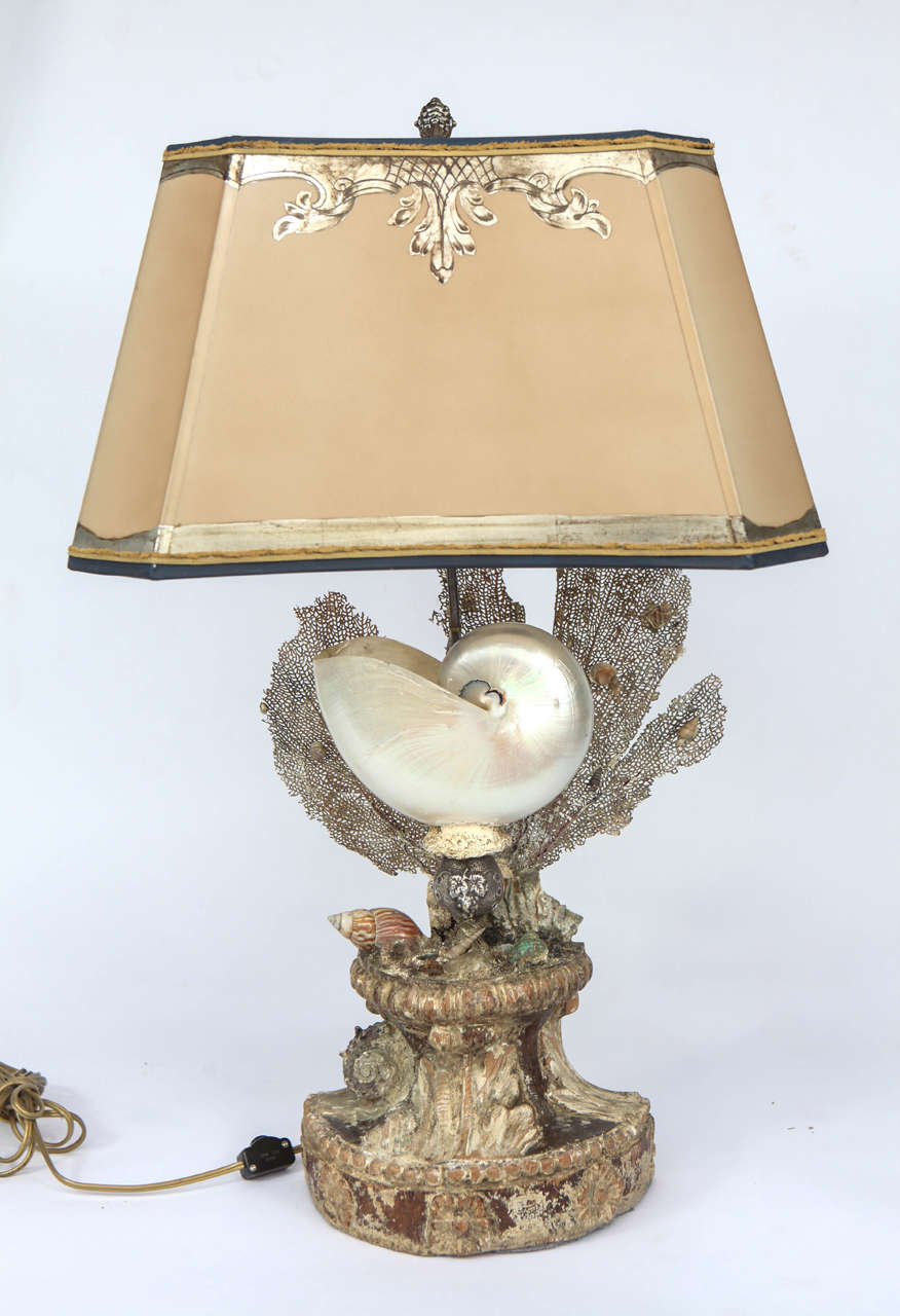 Pair of Large Seashell Lamps
