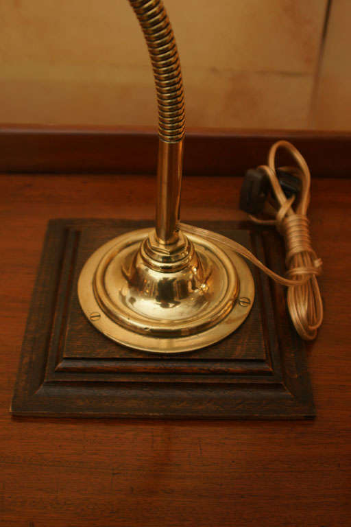 20th Century 1910 England Brass Adjustable Gooseneck Lamp