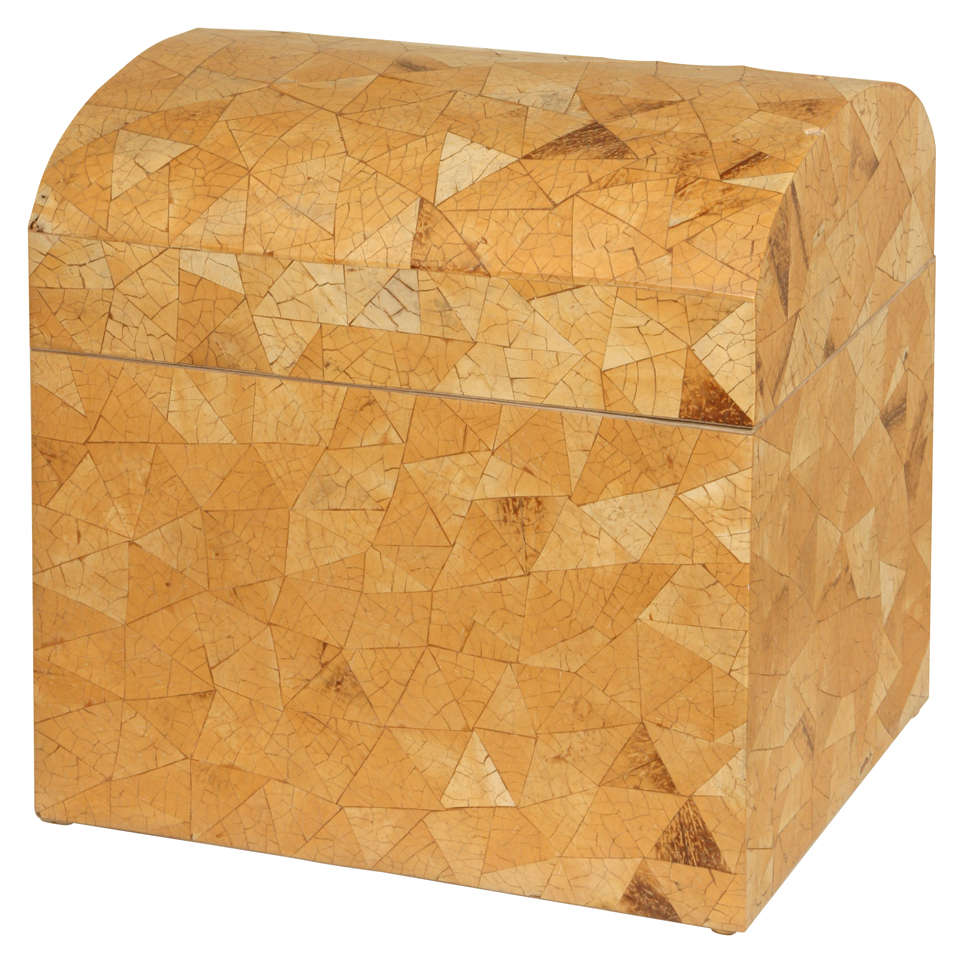 Large Coconut shell box