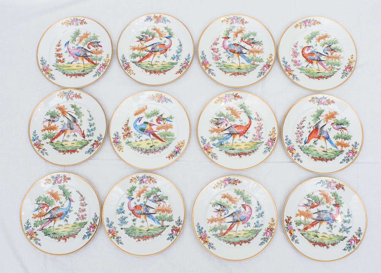 Set of 12 Porcelain Chelsea Plates