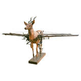 Ron Pippin Antelope