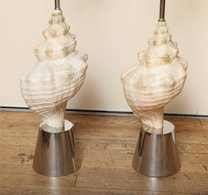 A Pair of Shell Based Table Lamps