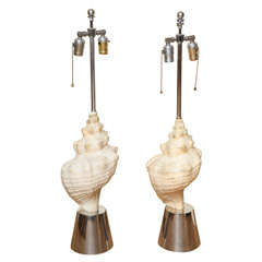 A Pair of Shell Based Table Lamps
