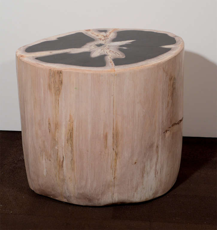 Unusaul petrified teak wood side table or stool with flat cut top and bottom. Naturally aged and fossilized wood slab that has been individually hand cut and polished. Every piece is unique and rare. In natural hues of creme and ivory with onyx