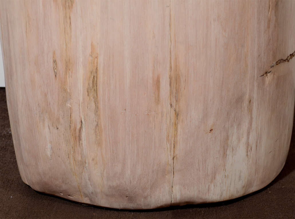 Exquisite Natural Petrified Teak Wood Side Table or Stool In Excellent Condition In Fort Lauderdale, FL