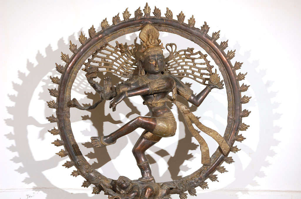 the shiva trophy