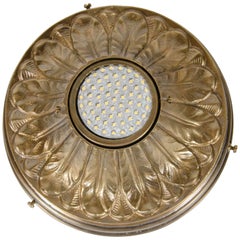 Hollywood Regency Acanthus Style Patinated Brass Spotlight