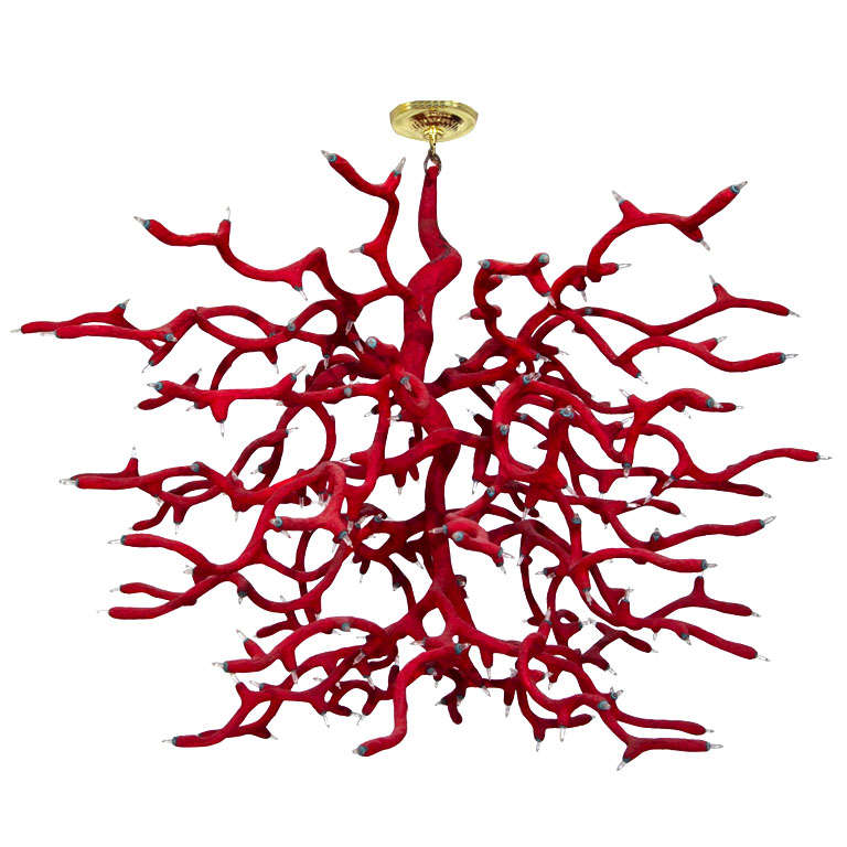A  Corail  Chandelier  By Ounouh