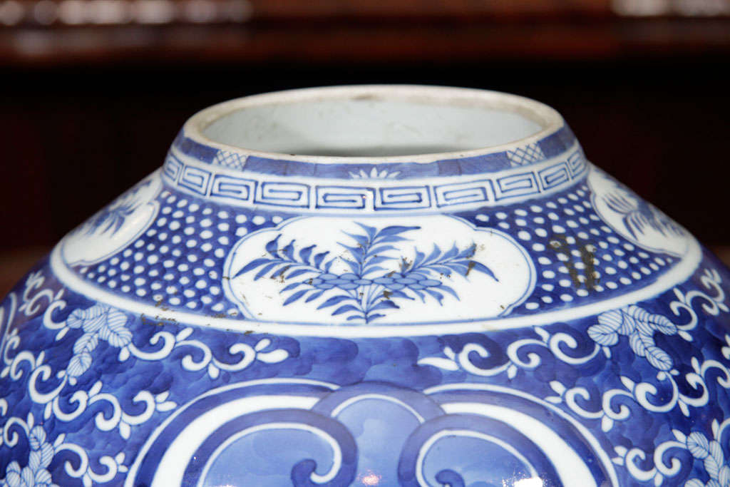 Chinese Blue and White Porcelain Jar 3