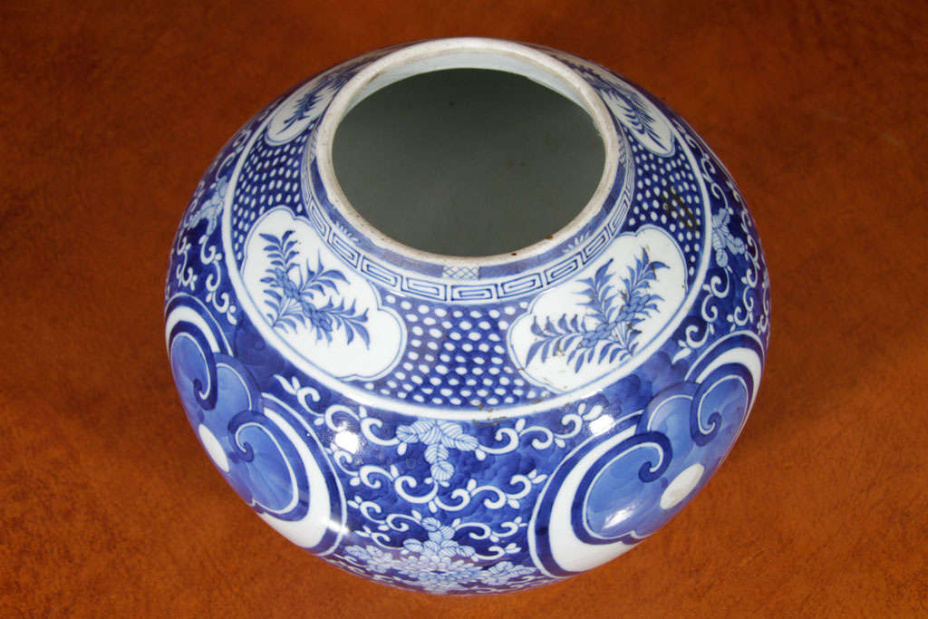 Chinese Blue and White Porcelain Jar 2