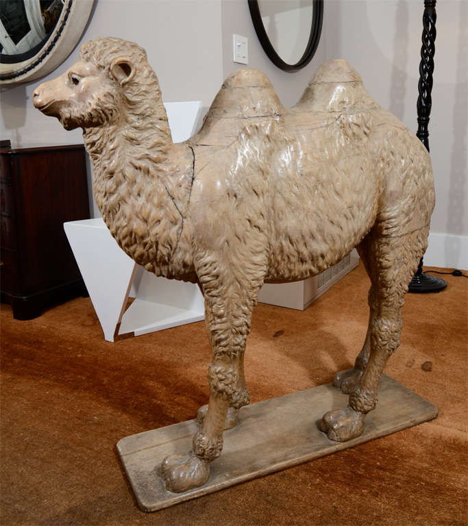 The camel carved in the round and on a conforming wood base.  The camel of carved wood with a polychrome surface. The head with glass eye insets.
