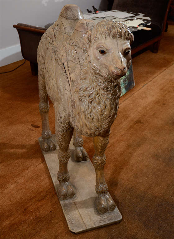 Large-Scale 19th Century Wood Sculpture of a Bactrian Camel For Sale 3