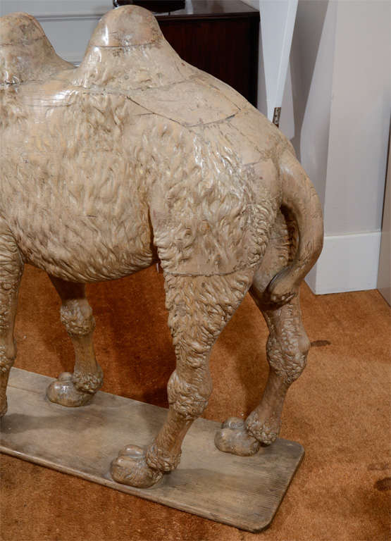 Large-Scale 19th Century Wood Sculpture of a Bactrian Camel For Sale 4