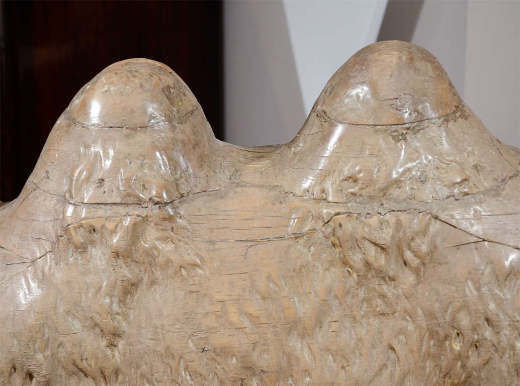 Large-Scale 19th Century Wood Sculpture of a Bactrian Camel For Sale 5