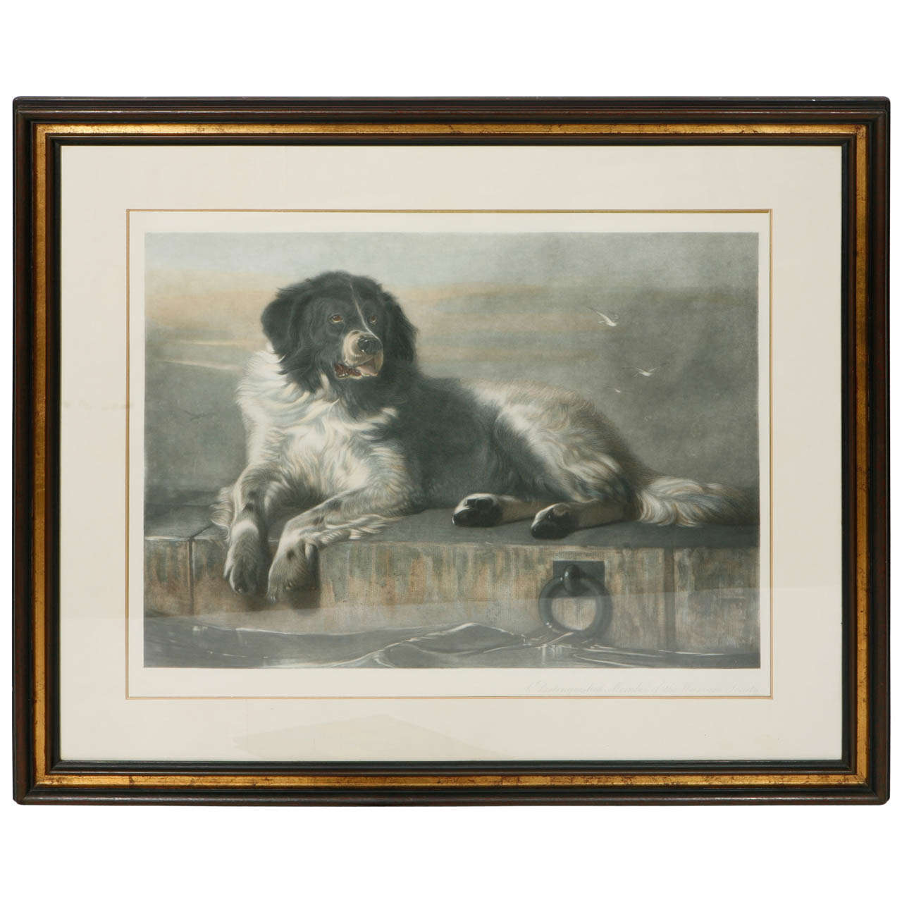 An English Print of a Dog