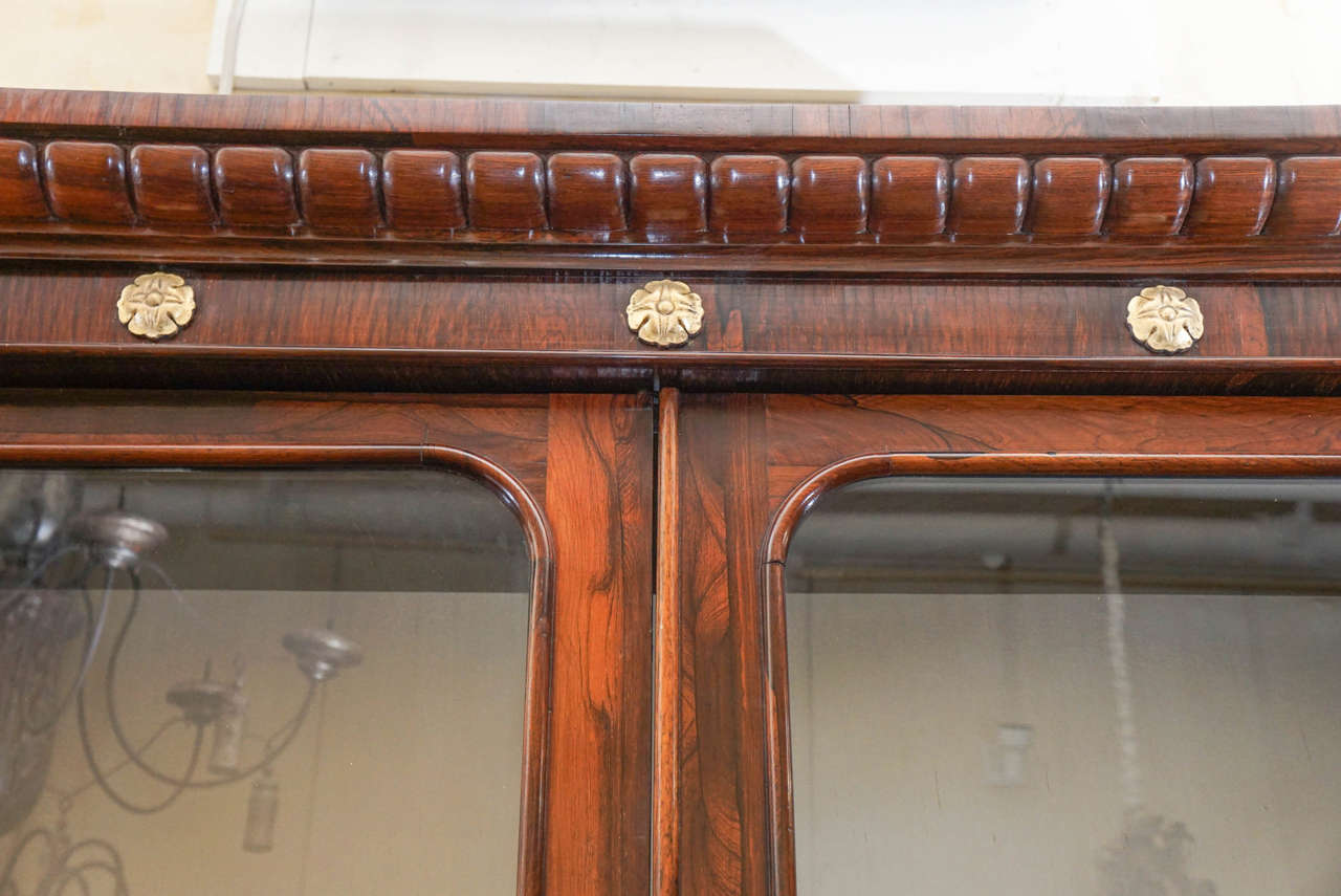 Very Fine William IV Rosewood Bookcase In Excellent Condition In Hudson, NY