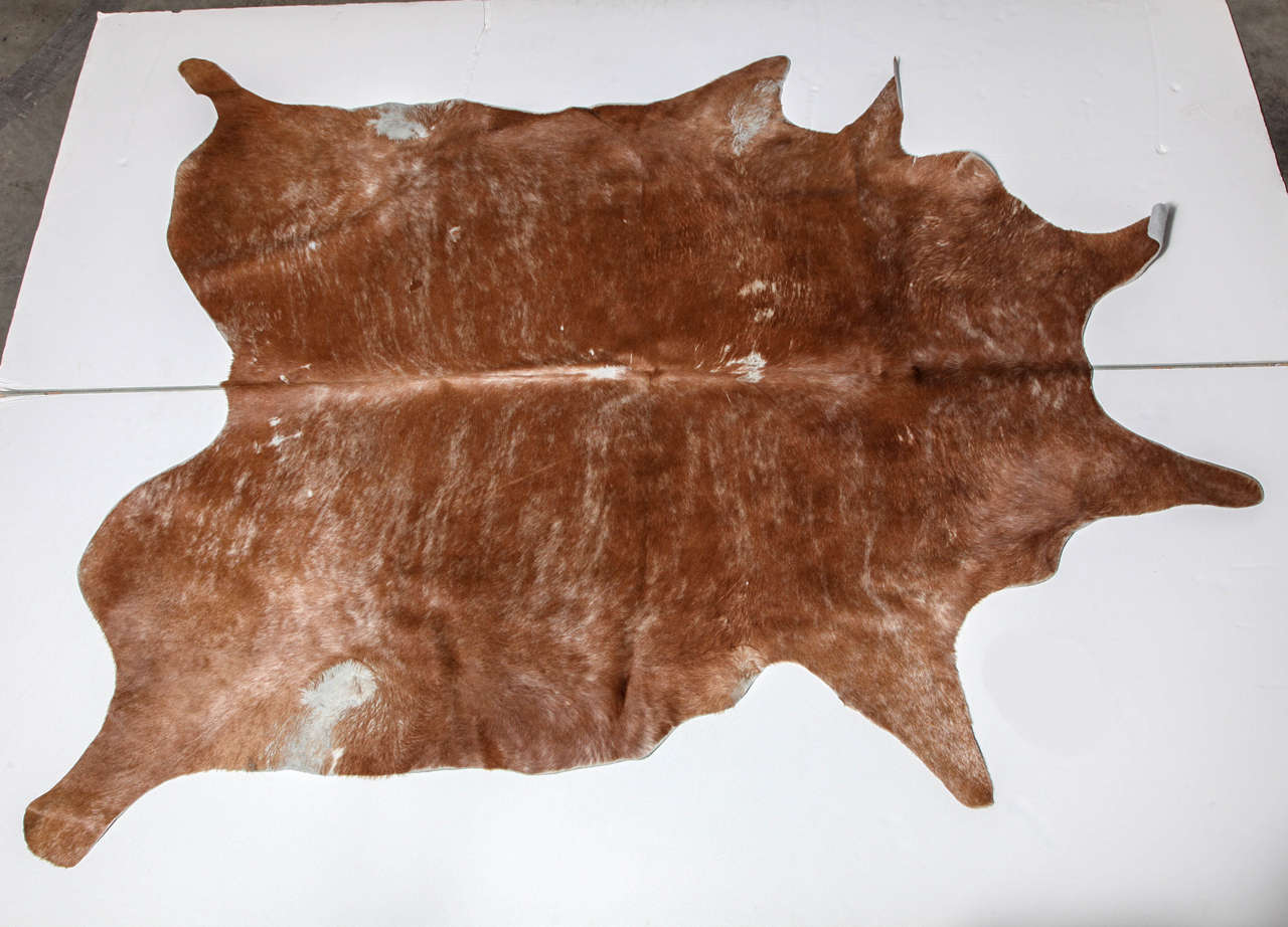 Large brown cowhide area rug.