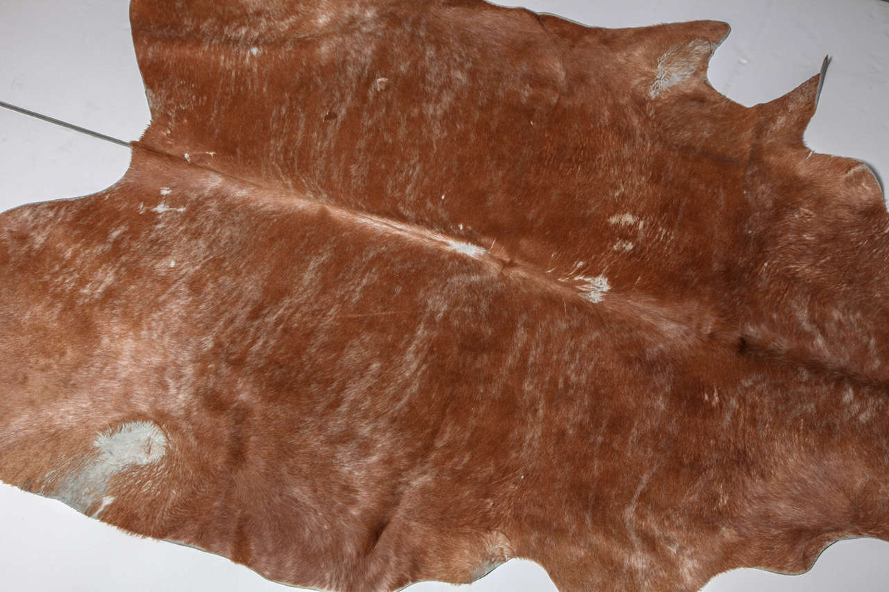 20th Century Beautiful Brown Cowhide Rug