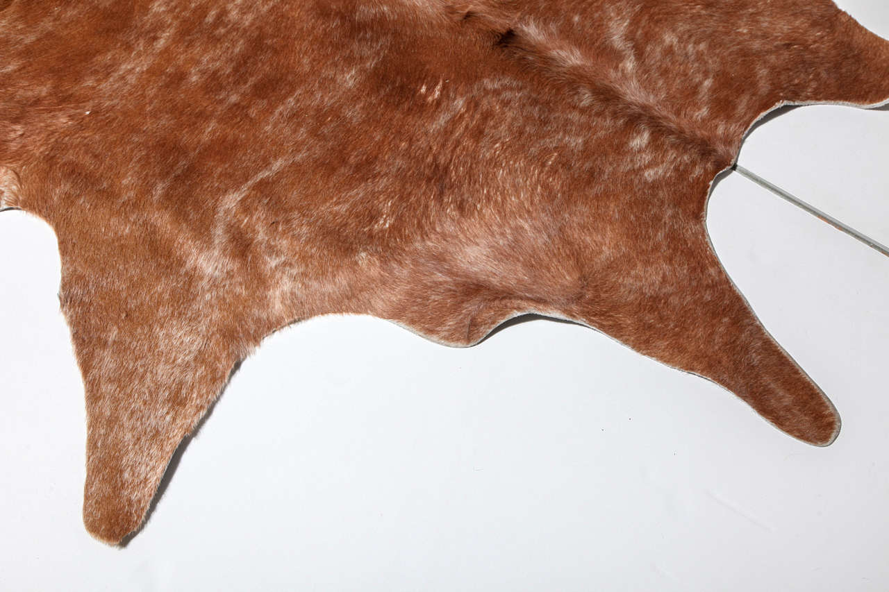 Beautiful Brown Cowhide Rug 1