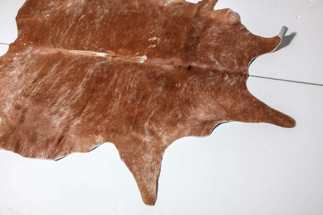 Beautiful Brown Cowhide Rug 2