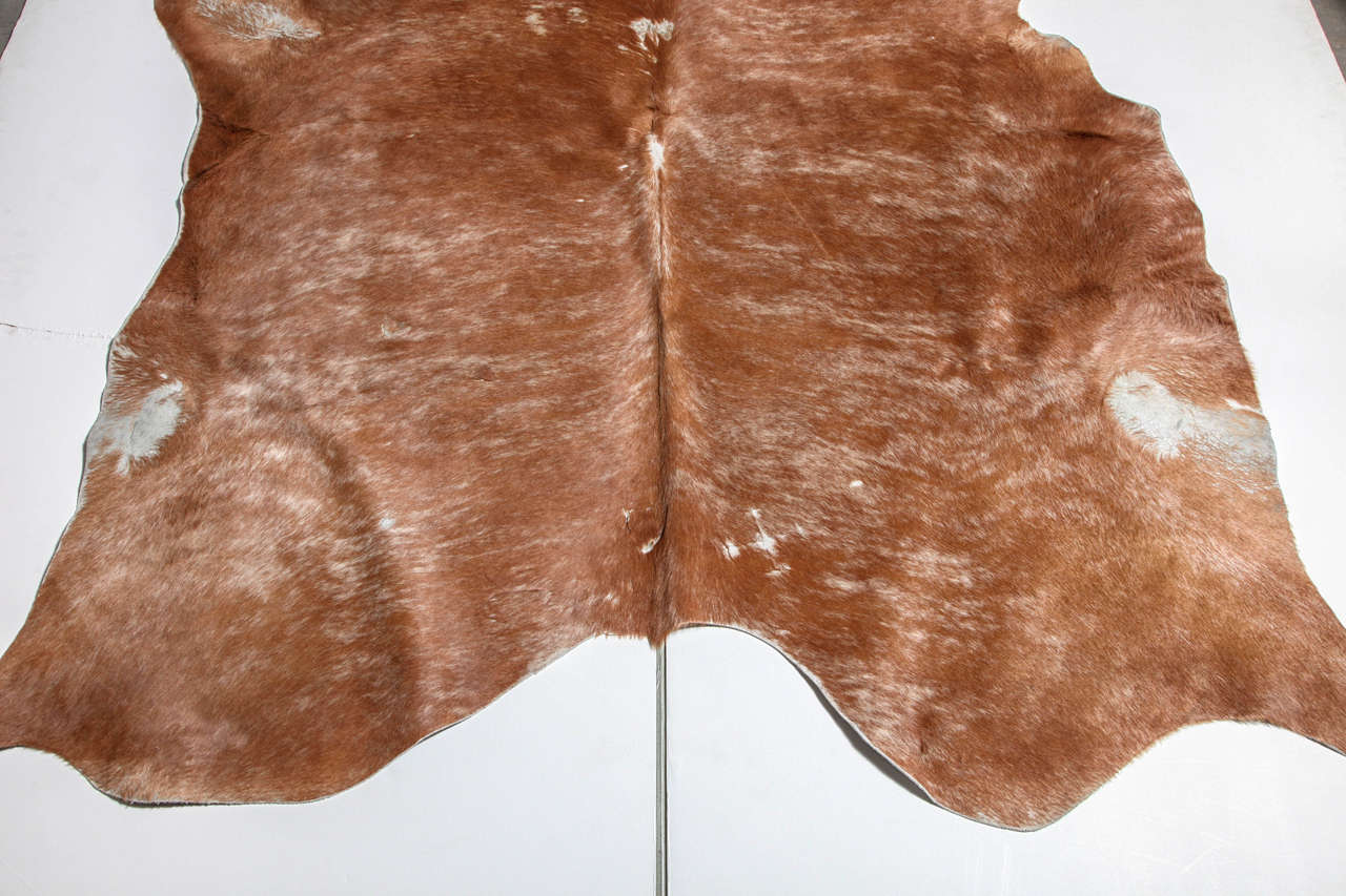 Beautiful Brown Cowhide Rug 3